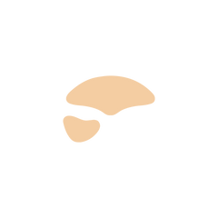 Pigmentation